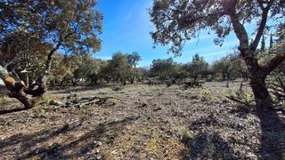  Terrain � vendre 1300 m�