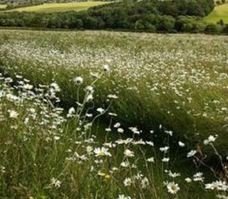  Maison � vendre 5 pi�ces 113 m�