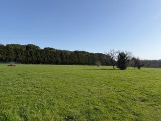  Terrain � vendre 1017 m�