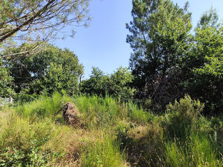  Terrain � vendre 750 m�