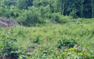  Terrain � vendre 700 m�