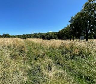  Terrain � vendre 994 m�