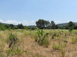  Terrain � vendre 1654 m�