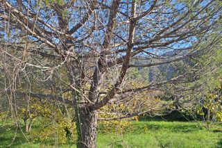  Terrain � vendre 614 m�