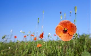  Terrain � vendre 521 m�