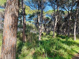  Terrain � vendre 2150 m�