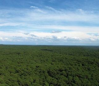  Terrain � vendre 650 m�