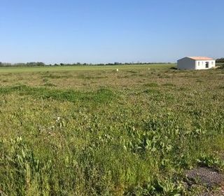  Terrain � vendre 390 m�