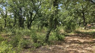  Maison � vendre 3 pi�ces 100 m�