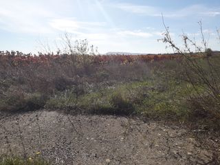  Terrain � vendre 595 m�