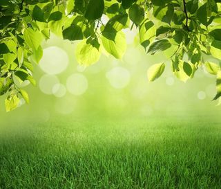  Maison � vendre 5 pi�ces 112 m�