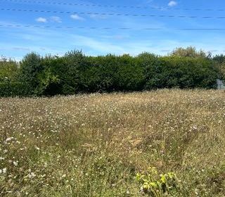  Terrain � vendre 737 m�