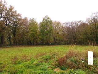  Maison � vendre 5 pi�ces 240 m�