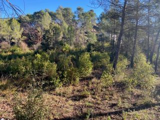  Maison 3 pi�ces 60 m� Brignoles