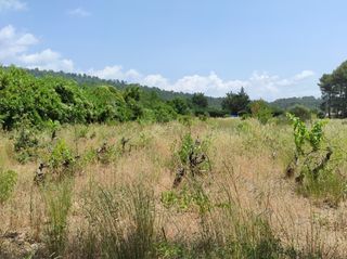  Terrain � vendre 1654 m�