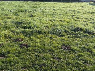  Maison � vendre 4 pi�ces 75 m�