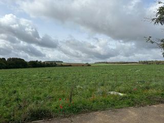  Terrain 300 m� Rodemack