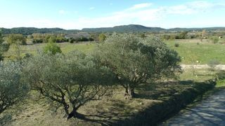  Terrain � vendre 500 m�