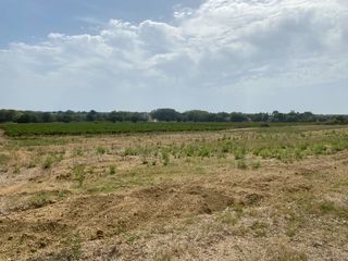  Terrain � vendre 597 m�