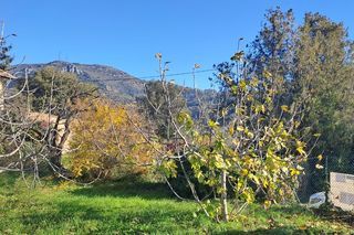  Terrain � vendre 614 m�