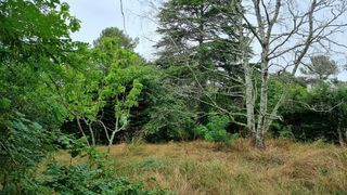  Terrain � vendre 620 m�