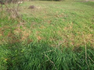  Maison � vendre 6 pi�ces 186 m�