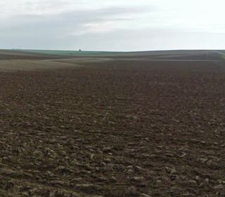  Terrain 1350 m� Asfeld