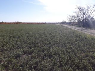  Maison 7 pi�ces 162 m� Rieux-minervois