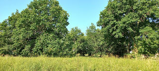  Terrain � vendre 3300 m�