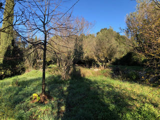  Terrain 870 m� Carnoules