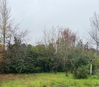  Terrain � vendre 400 m�