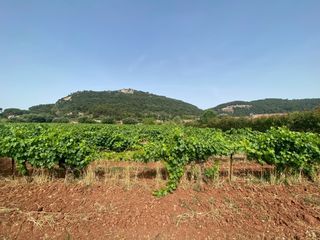  Terrain � vendre 426 m�