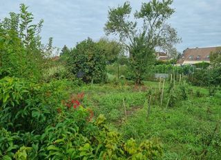  Terrain � vendre 289 m�