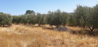  Maison � vendre 5 pi�ces 98 m�