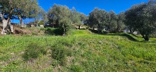  Maison 5 pi�ces 174 m� Grasse