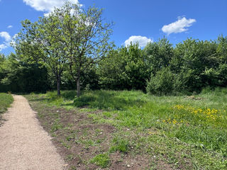  Terrain 697 m� Aurillac