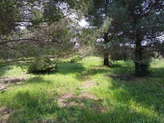  Terrain � vendre 639 m�