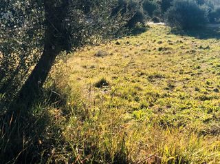  Terrain � vendre 548 m�