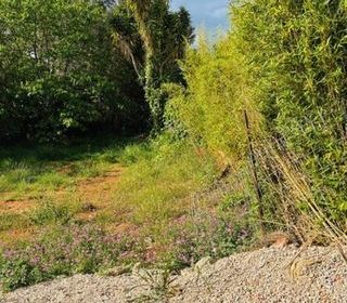  Terrain � vendre 425 m�