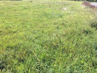  Maison 2 pi�ces 50 m� Gri�ges