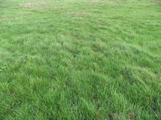  Terrain � vendre 1650 m�