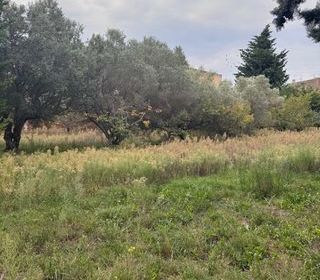  Terrain � vendre 1160 m�