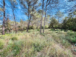  Terrain � vendre 964 m�