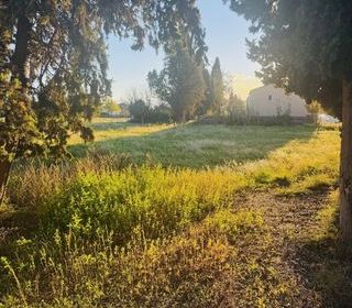  Terrain � vendre 320 m�