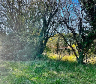  Terrain � vendre 500 m�