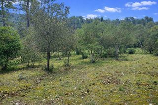  Terrain � vendre 1001 m�