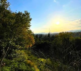  Terrain � vendre 1850 m�