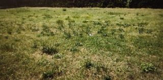  Terrain � vendre 732 m�