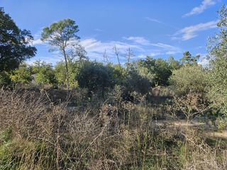  Terrain � vendre 2877 m�