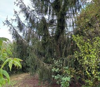  Terrain � vendre 500 m�